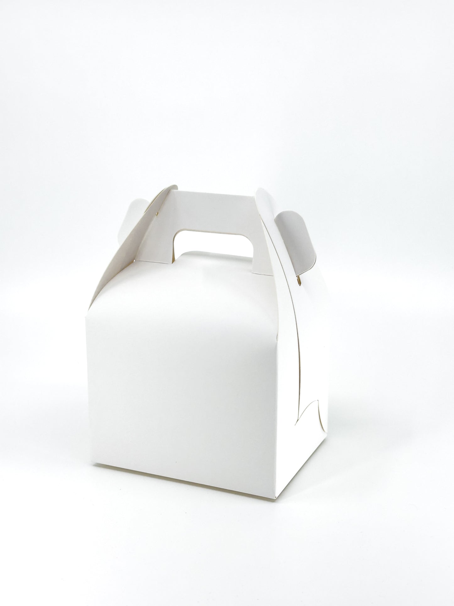 Gable Kraft Box - White Brown - Pack of 10